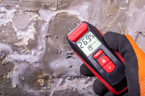 Best Commercial Mold Removal  in Belwood, NC