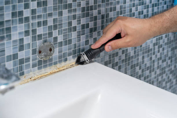 Best Mold Cleaning Services  in Belwood, NC